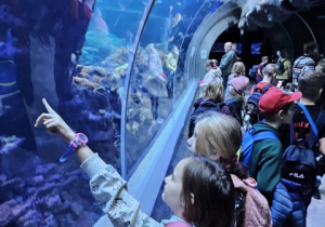 Uczniowie przechodzą w szklanym tunelu w Orientarium, podziwiając podwodny świat.