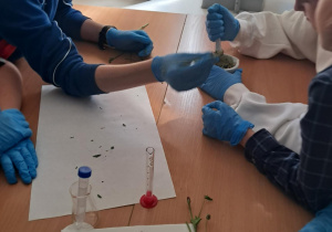 Zajęcia grupowe z biochemii.