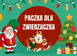 Mikołaj z workiem wita psy i koty, siedzące pod choinką. U góry napis Paczka dla zwierzaczka