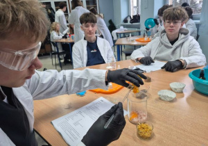 Uczniowie wykonują zadania podczas warsztatów chemicznych.