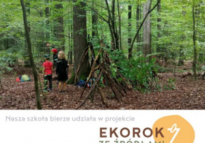 Plakat EkoRok